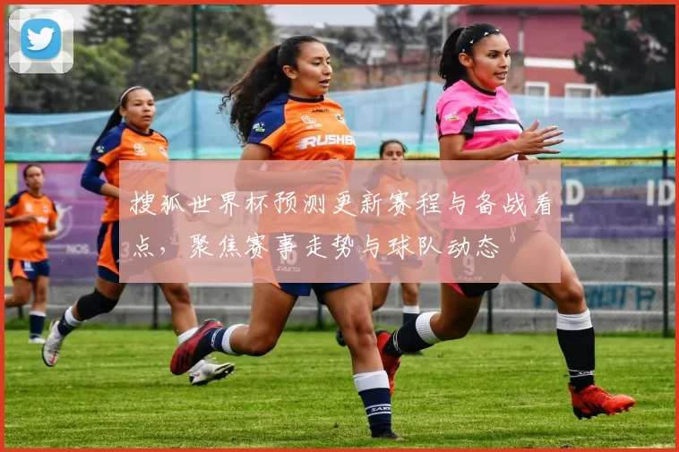 搜狐世界杯预测更新赛程与备战看点,聚焦赛事走势与球队动态