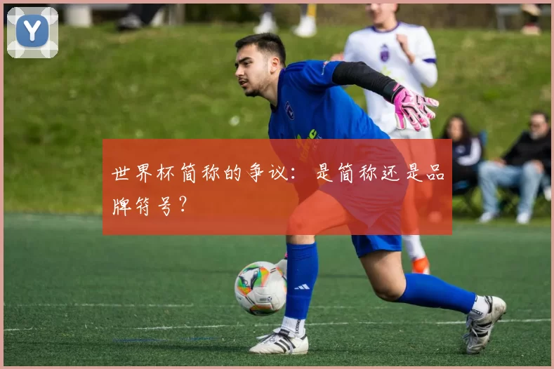 世界杯简称的争议：是简称还是品牌符号？