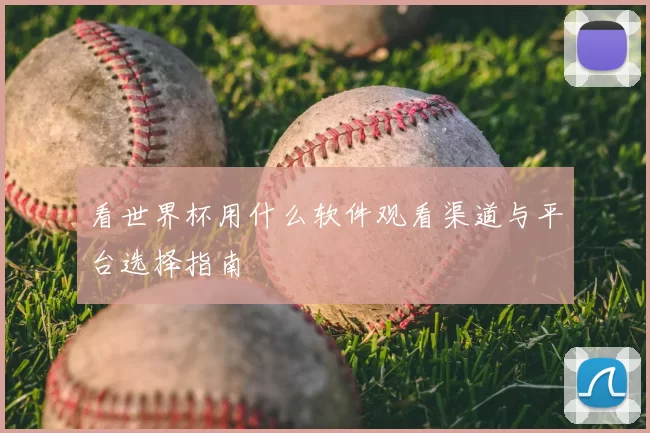 看世界杯用什么软件观看渠道与平台选择指南