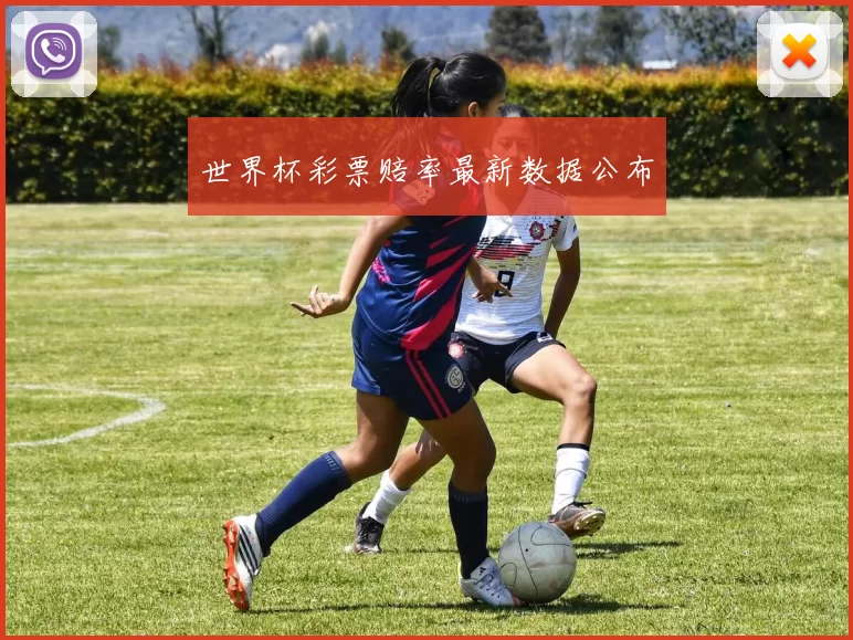 世界杯彩票赔率最新数据公布