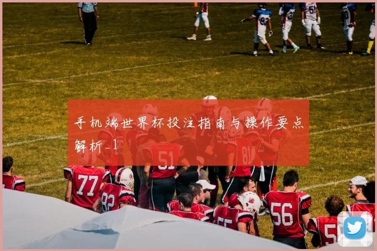 手机端世界杯投注指南与操作要点解析_1