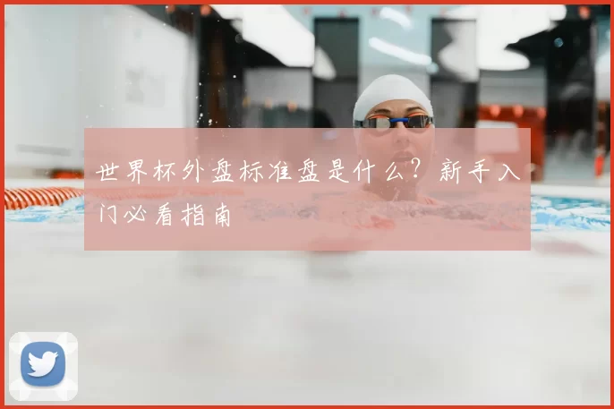 世界杯外盘标准盘是什么?新手入门必看指南
