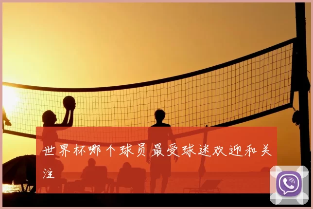 世界杯哪个球员最受球迷欢迎和关注