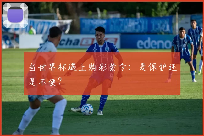 当世界杯遇上购彩禁令:是保护还是不便?
