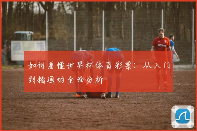 如何看懂世界杯体育彩票：从入门到精通的全面分析