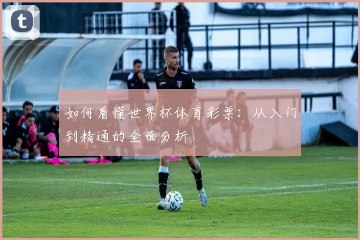 如何看懂世界杯体育彩票:从入门到精通的全面分析