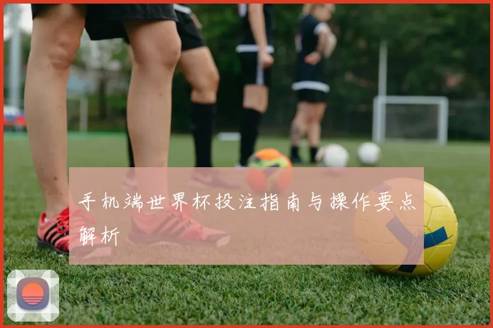 手机端世界杯投注指南与操作要点解析