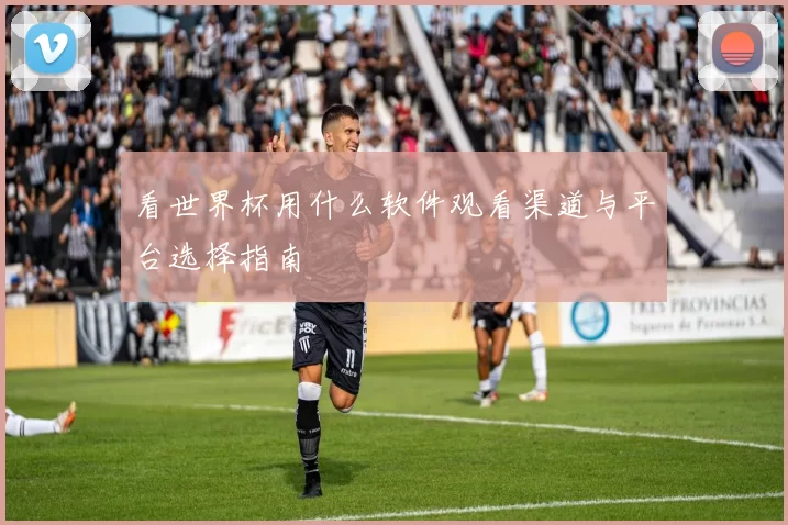 看世界杯用什么软件观看渠道与平台选择指南