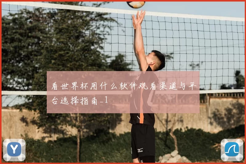 看世界杯用什么软件观看渠道与平台选择指南_1