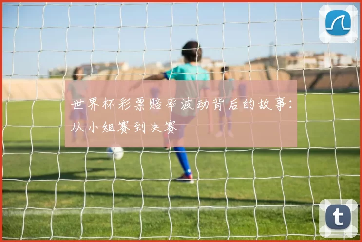 世界杯彩票赔率波动背后的故事:从小组赛到决赛