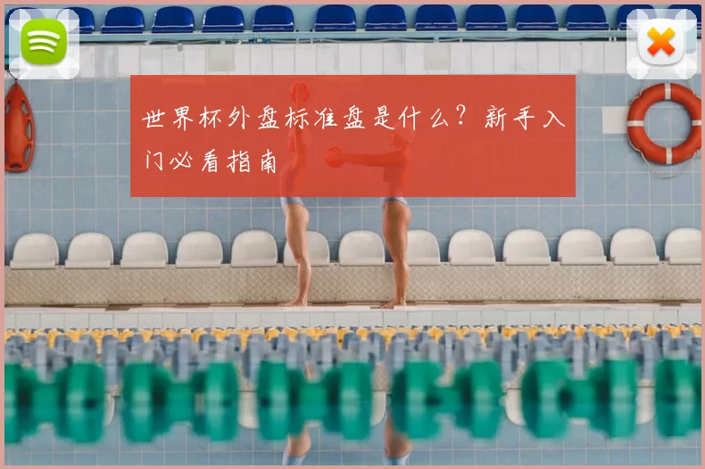 世界杯外盘标准盘是什么？新手入门必看指南